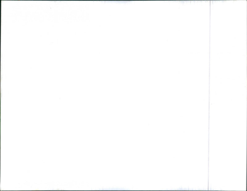 Mixed Cars varius - Vintage Photograph