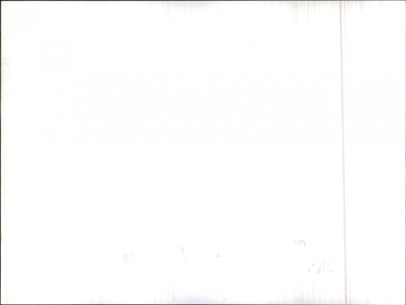 Mixed Cars varius - Vintage Photograph