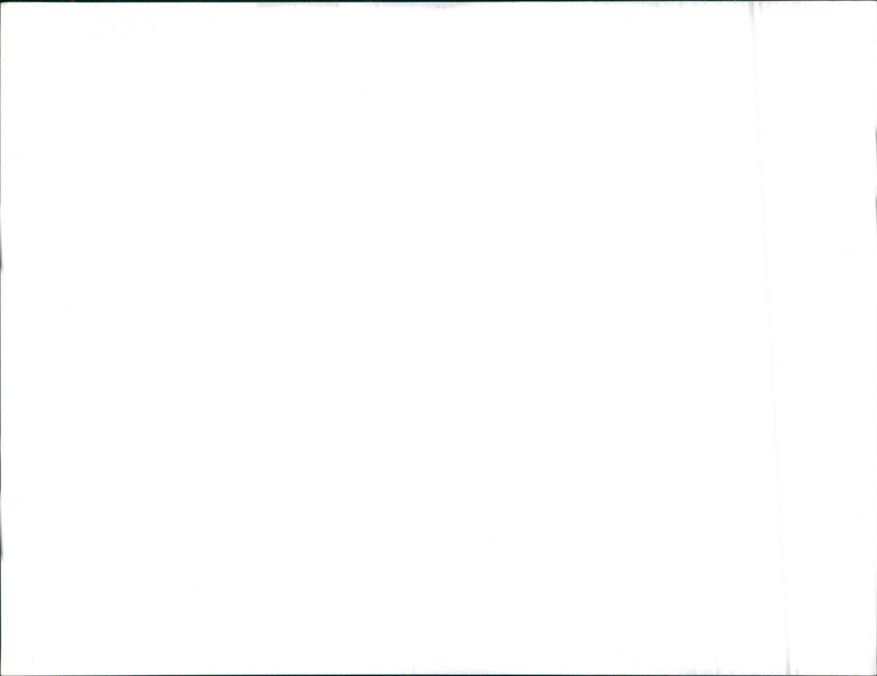 Mixed Cars varius - Vintage Photograph