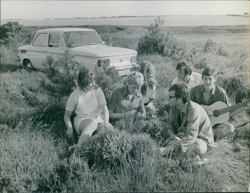 Mixed Cars varius - Vintage Photograph