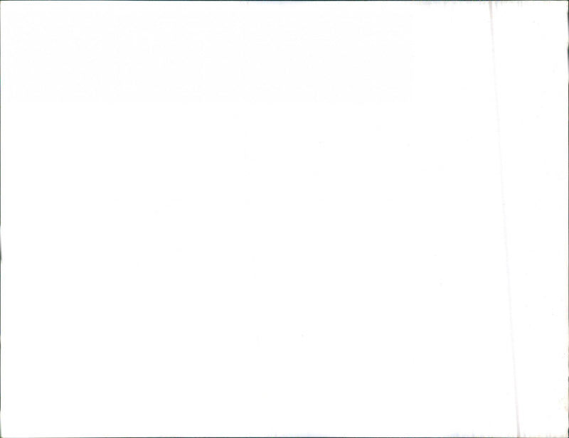 Mixed Cars varius - Vintage Photograph