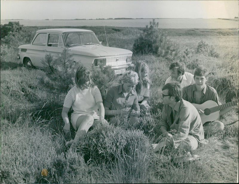 Mixed Cars varius - Vintage Photograph