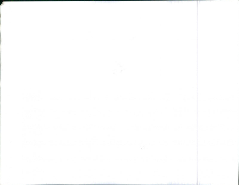 Mixed Cars Varius - Vintage Photograph