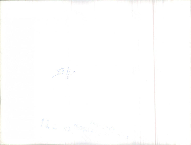 Mixed Cars Varius - Vintage Photograph