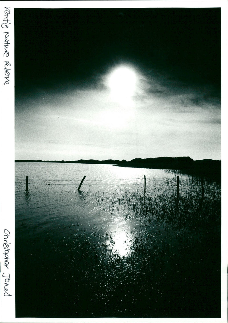 Kentig Nature Reserve - Vintage Photograph