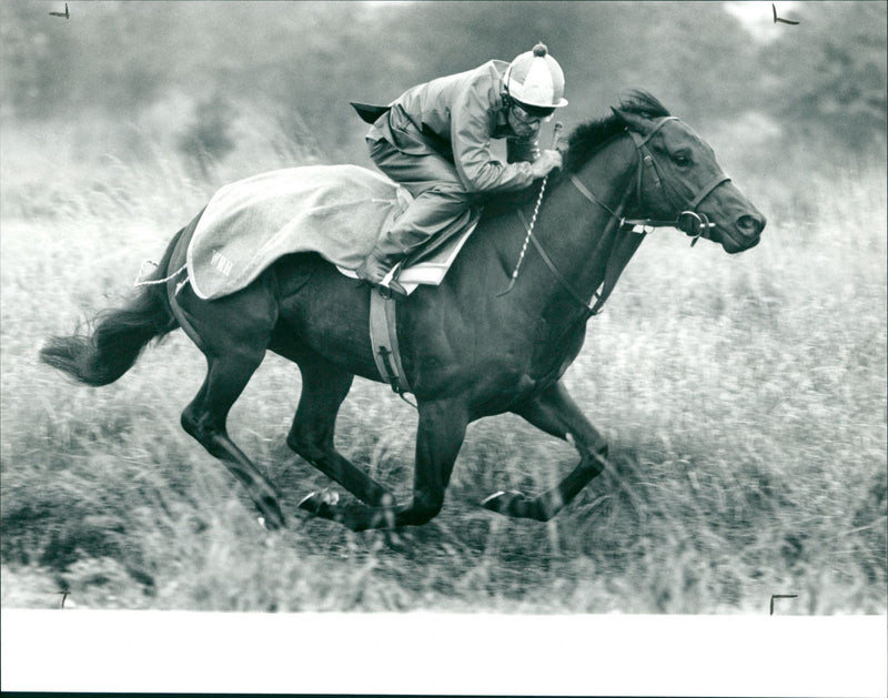 Dayjur (Brian Proctor) - Vintage Photograph