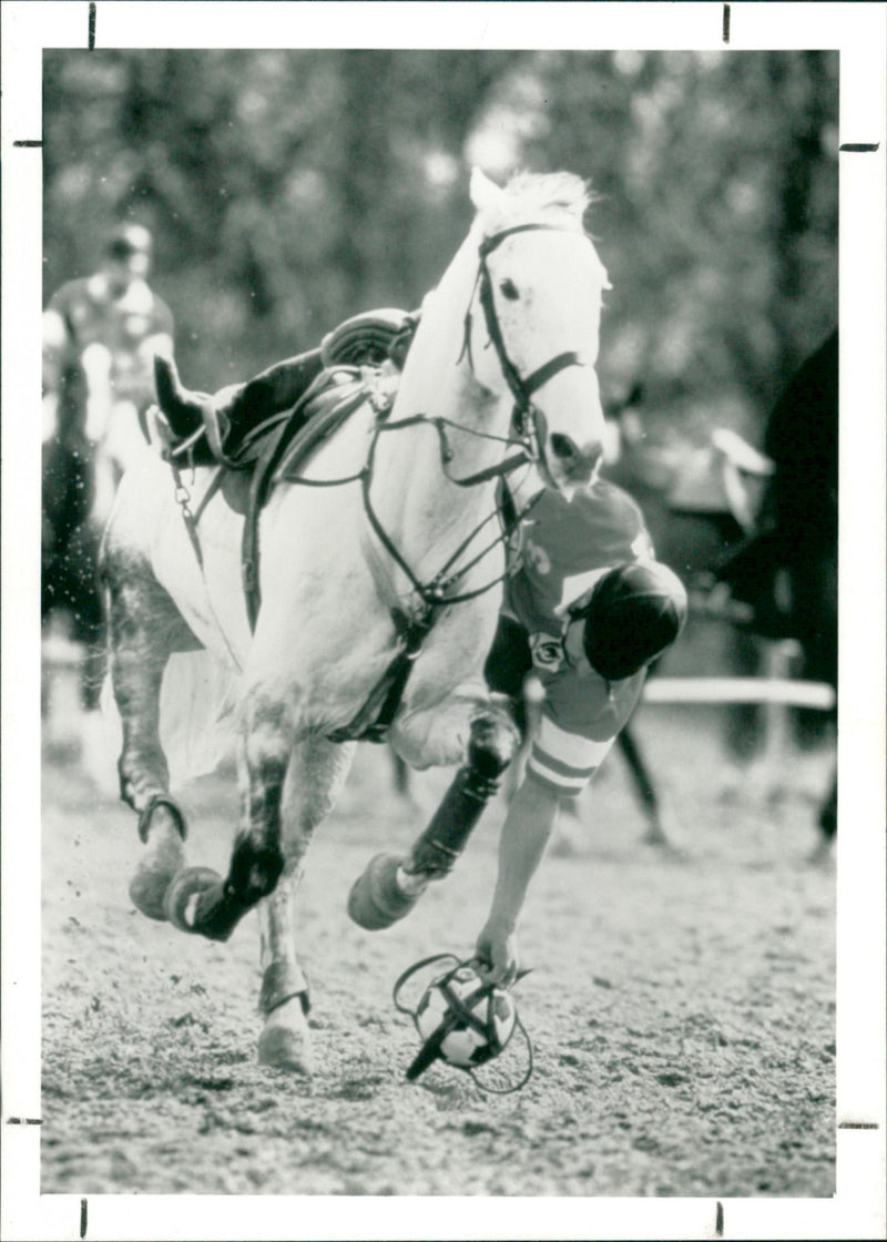 Horseball - Vintage Photograph
