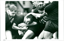 Rugby - Vintage Photograph