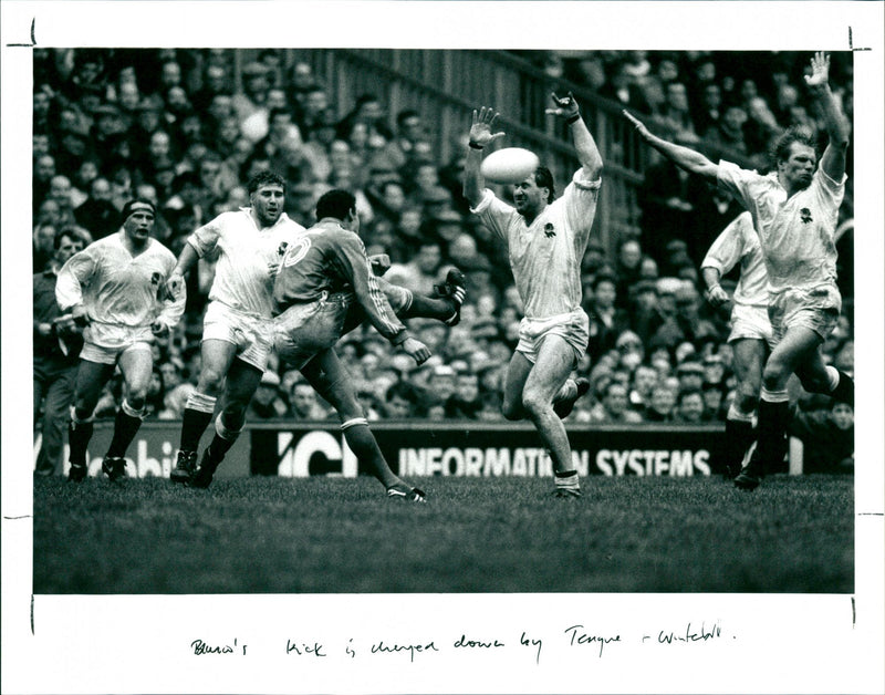 Rugby World Cup '91 - Vintage Photograph