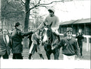 The Kennel Gate Novices Hurdle - Vintage Photograph