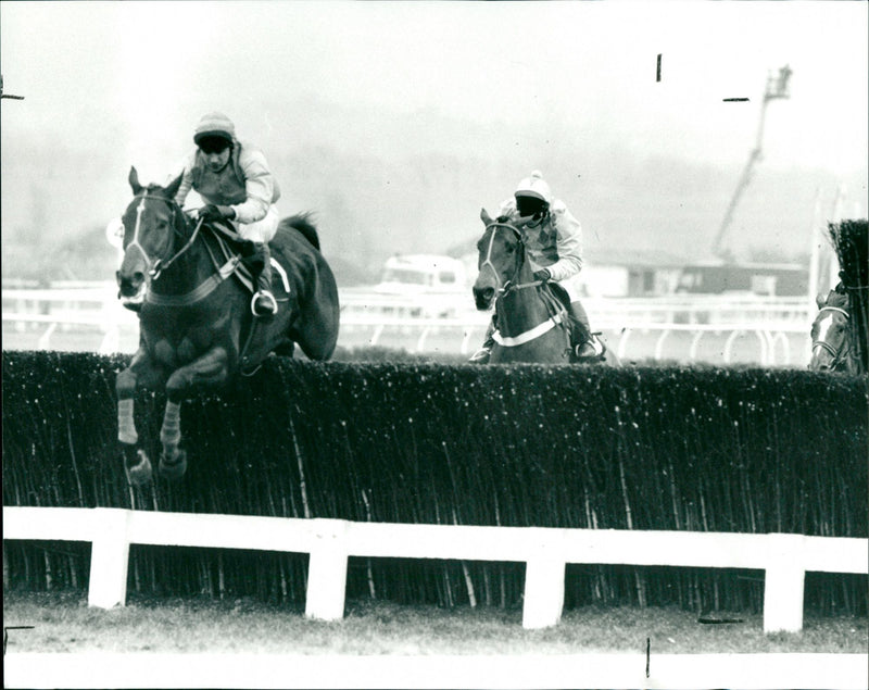 Celtic Shot,Toby Tobias,Norton's Coin - Vintage Photograph