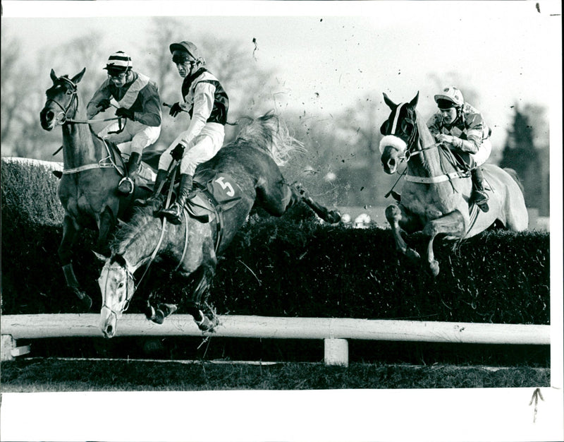 The Fulwell Hicap Chase - Vintage Photograph