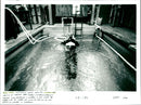 Royal Navy, Immersion Test. - Vintage Photograph