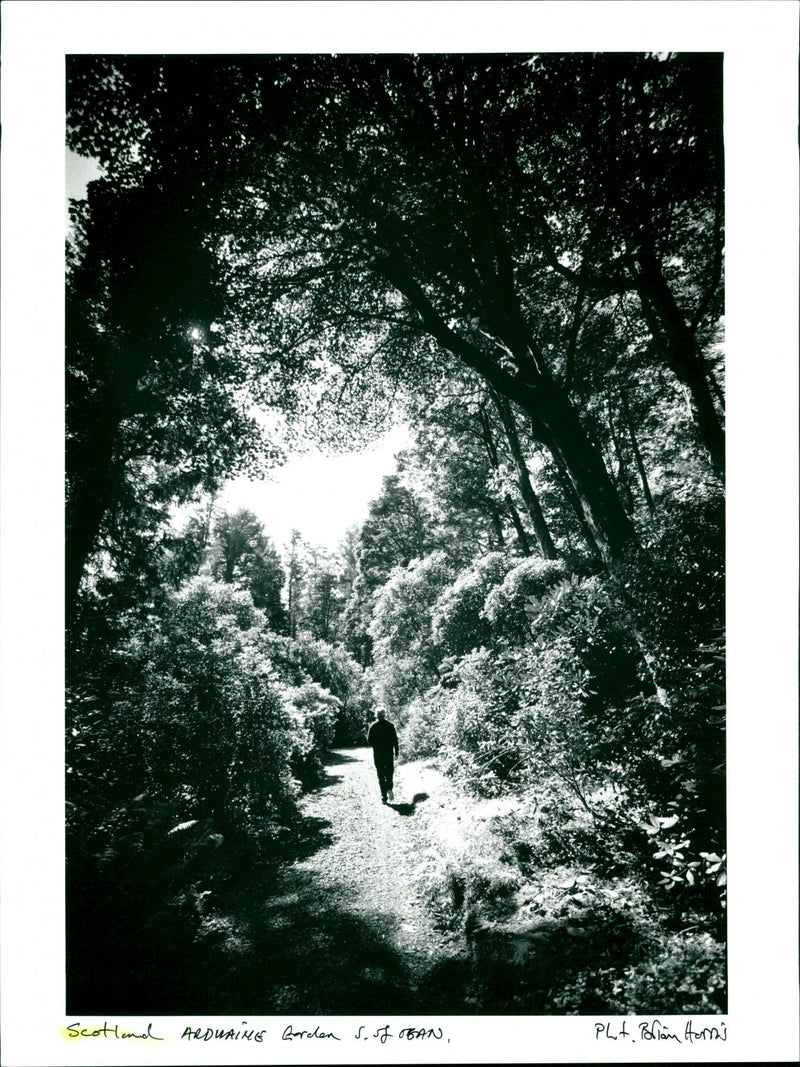 Scotland Arduaine Garden - Vintage Photograph
