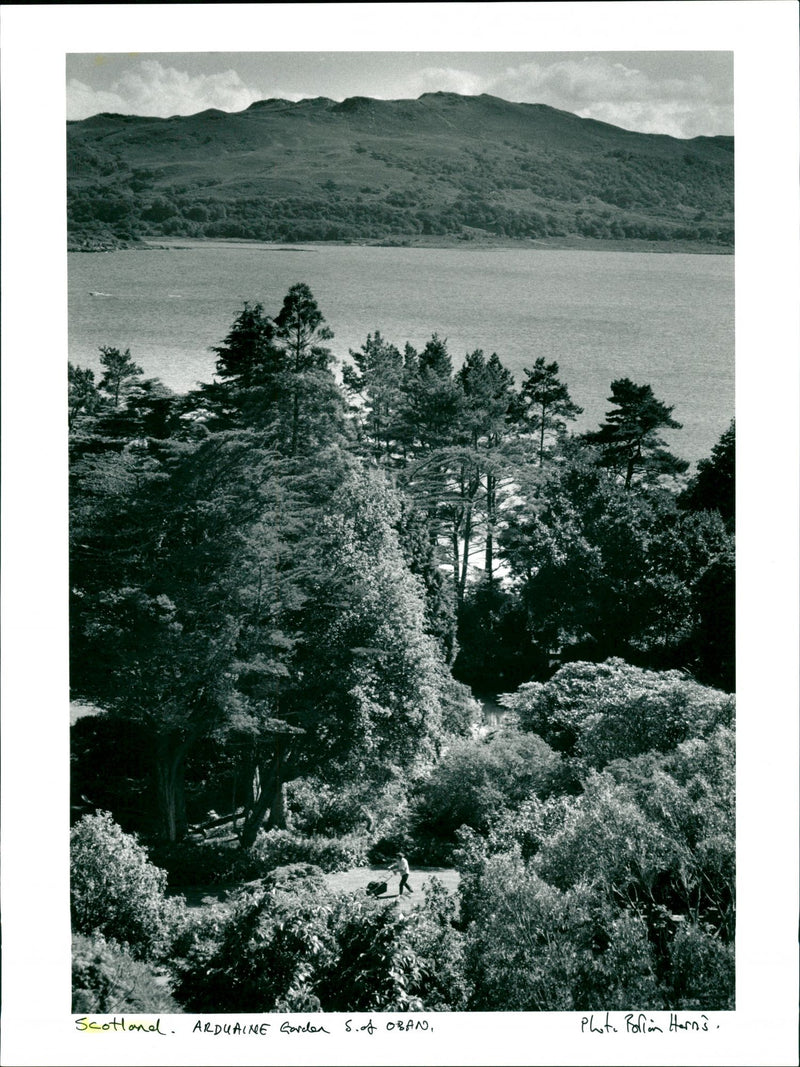 Scotland Arduaine Garden - Vintage Photograph