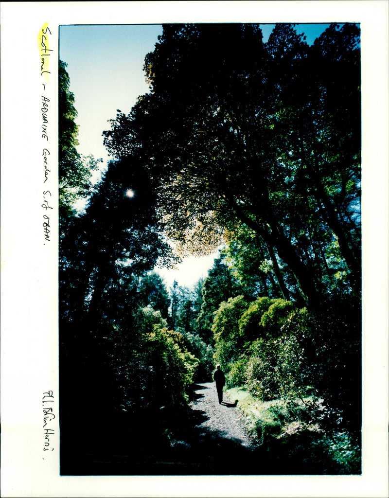 Scotland. Arduaine Garden - Vintage Photograph
