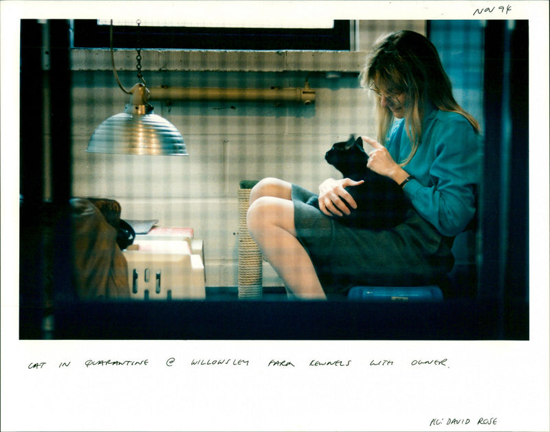 Cat in quarantine - Vintage Photograph