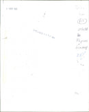 Foxes - Vintage Photograph