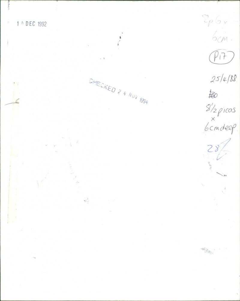 Foxes - Vintage Photograph