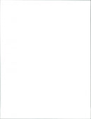 PRESIDENT LADY CONCERT - Vintage Photograph