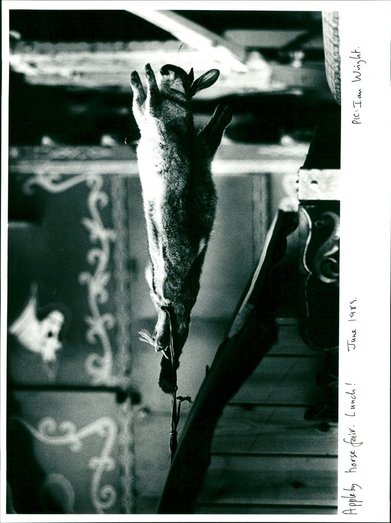 1985 - APPLEBY HORSE FARE JUNGSI WRIGHT, JUNE, LUNCH - Vintage Photograph