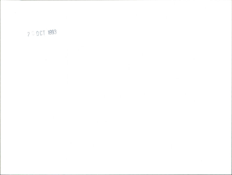 Rover 620i - Vintage Photograph