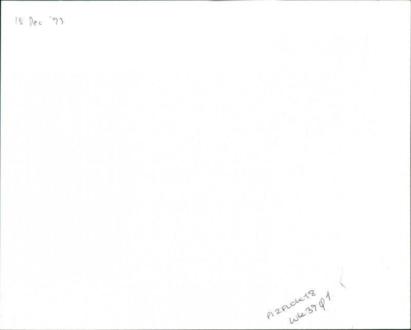 Flock of sheep - Vintage Photograph