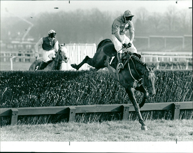 Manicov Hcap Chase Ascot - Vintage Photograph