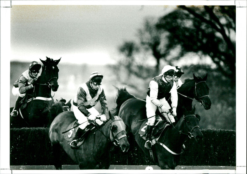Saturday 14th November & 13th Nov - Vintage Photograph