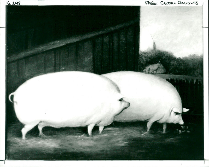 Saturday 14th November & 13th Nov - Vintage Photograph
