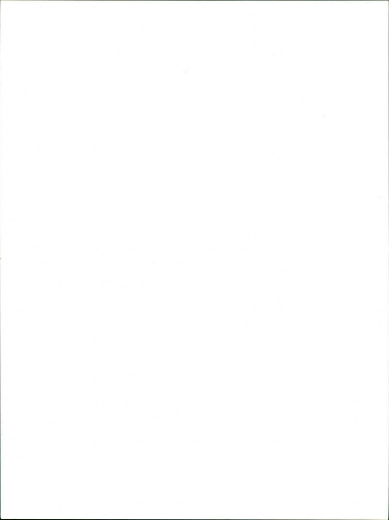 Marsh - Vintage Photograph