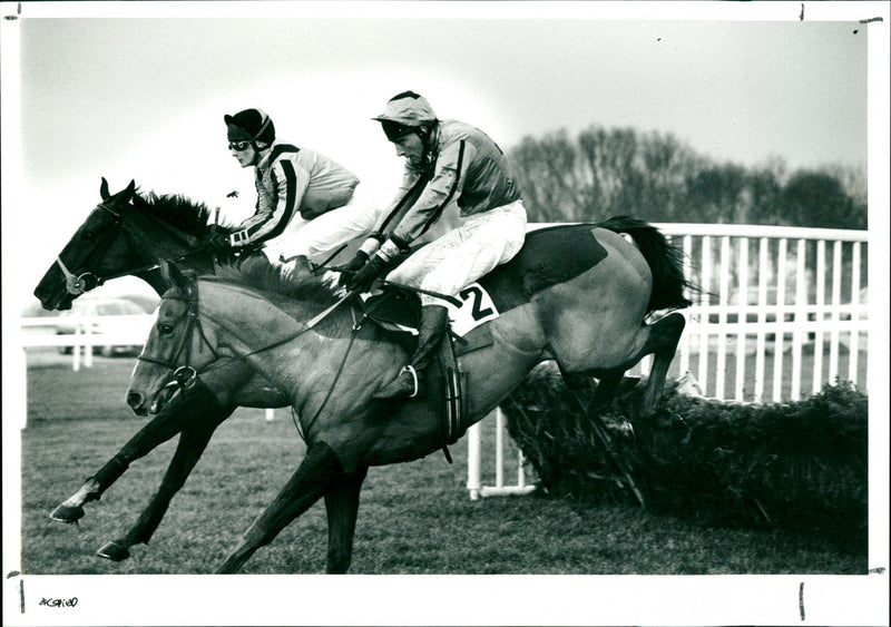 Mighty Mogul - Vintage Photograph