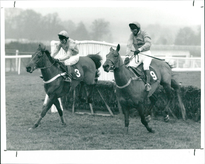 The Fernbank Novices' Hurdle - Vintage Photograph