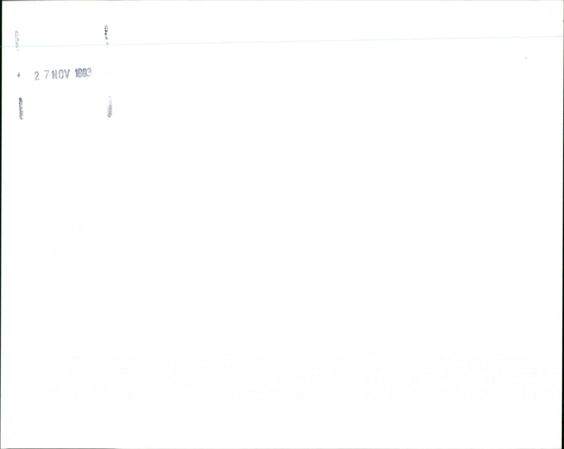 Specimen - Vintage Photograph