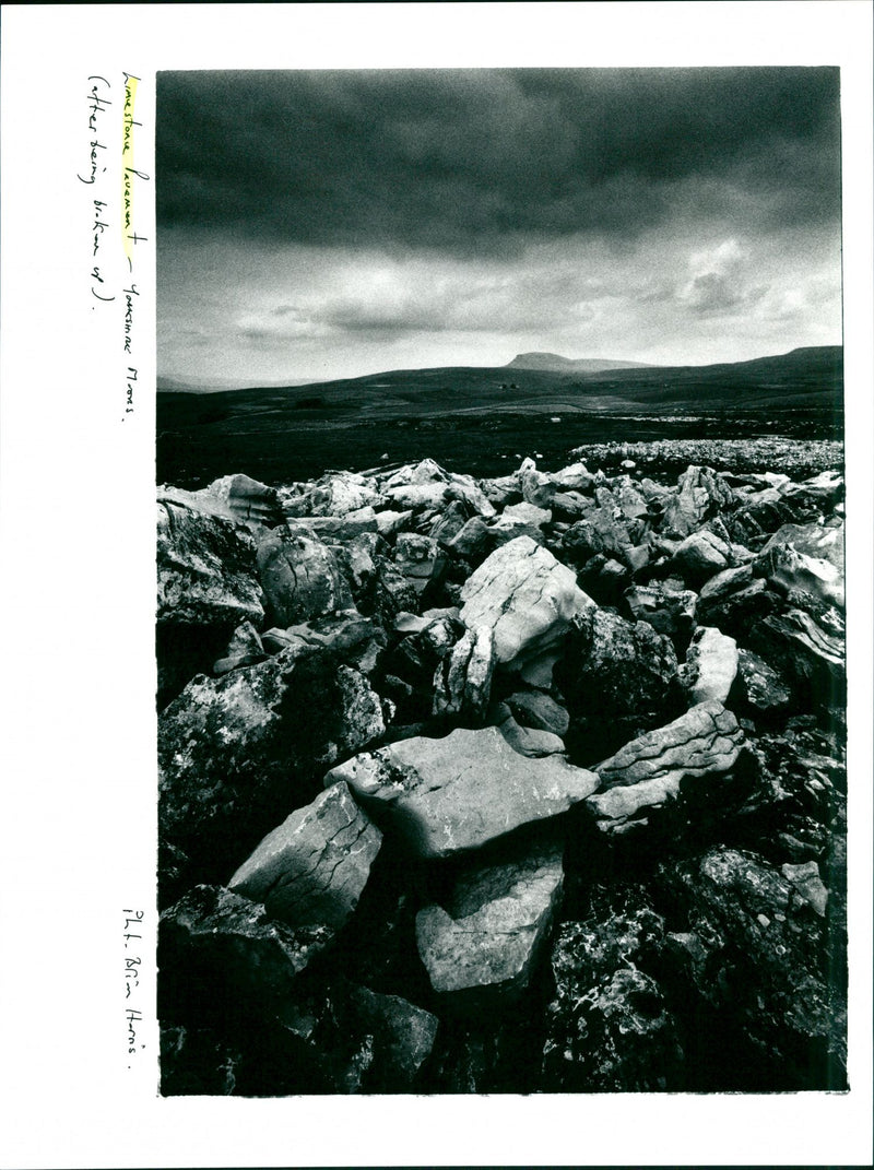 Limestone Pavement - Vintage Photograph