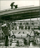 BMW 7-Series - Vintage Photograph