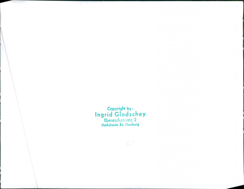 Randoms Cars Varius - Vintage Photograph