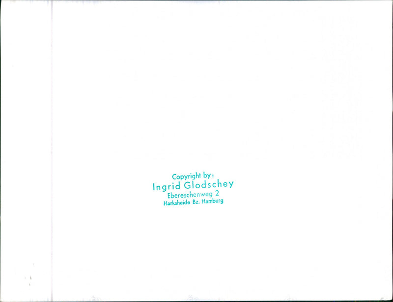 Randoms Cars Varius - Vintage Photograph