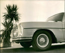 Randoms Cars Varius - Vintage Photograph