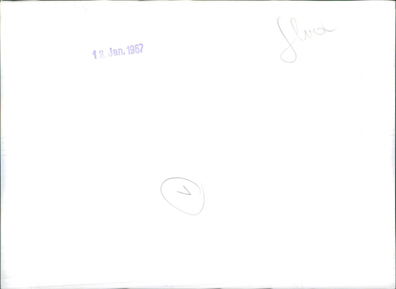 Randoms Cars Varius - Vintage Photograph