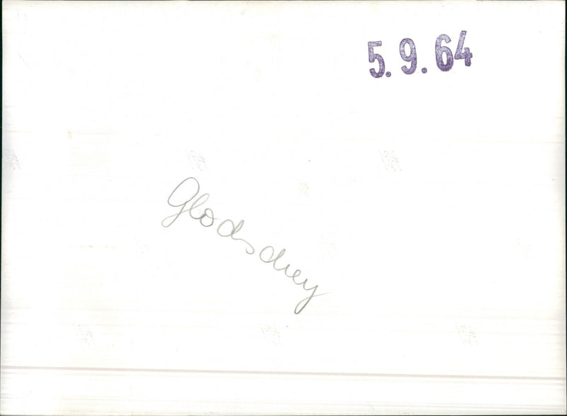 Randoms Cars Varius - Vintage Photograph