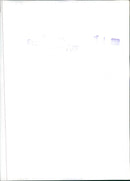 Volkswagen - Vintage Photograph