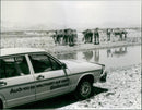 Audi 100 5D Welfahrt - Vintage Photograph