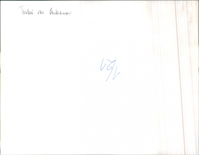 Audi 100 5D Welfahrt - Vintage Photograph