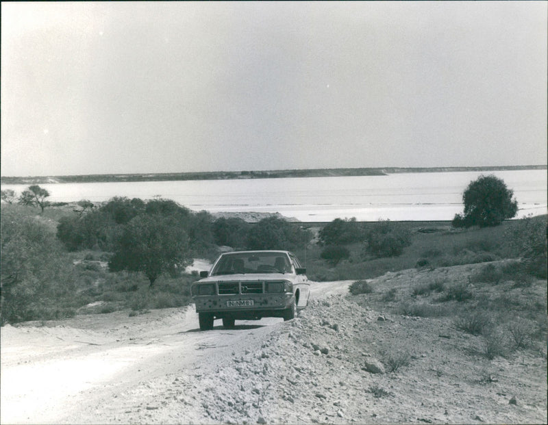 Audi 100 5D Welfahrt - Vintage Photograph