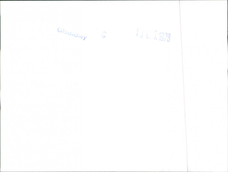 Audi 100 5D Welfahrt - Vintage Photograph