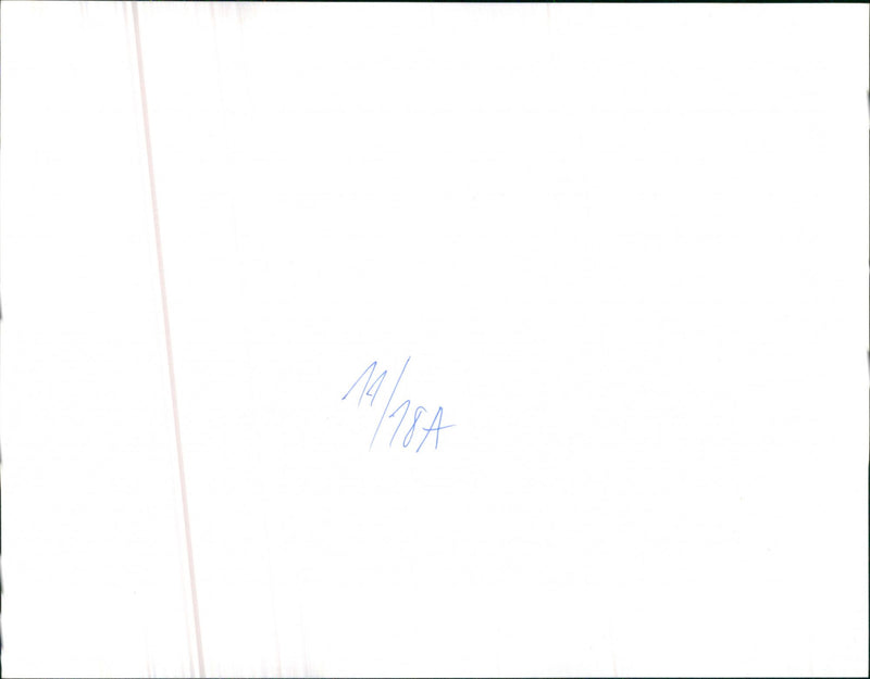 Audi 100 5D Welfahrt - Vintage Photograph