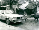 Audi 100 5D Welfahrt - Vintage Photograph