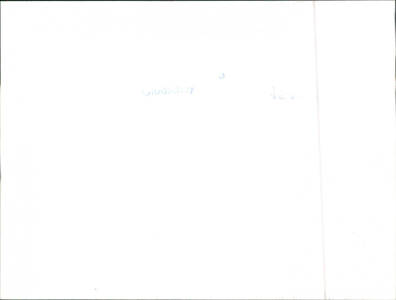 Audi 100 5D Welfahrt - Vintage Photograph