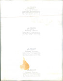 Renault 17 - Vintage Photograph